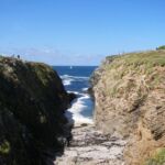 Belle-Ile - C&ocirc;te Sauvage