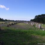 Steinreihen in Carnac