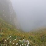 Klippen von Etretat im Nebel