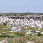 Steinkunst auf der Ile-Grande