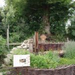 Beet in La Roche Jagu
