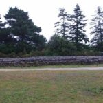 Ausl&auml;ufer des Dolmen Table des Marchand