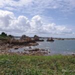 Plougrescant - Rosa Granit