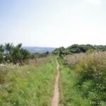 K&uuml;stenwanderweg bei Plouha