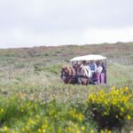 Pointe du Raz - An die Spitze mit 2 PS